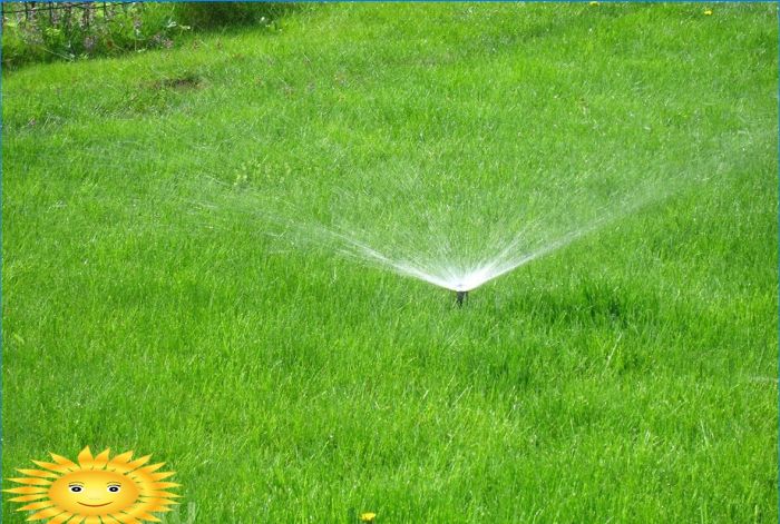 Hydroseeding des Rasens zum Selbermachen