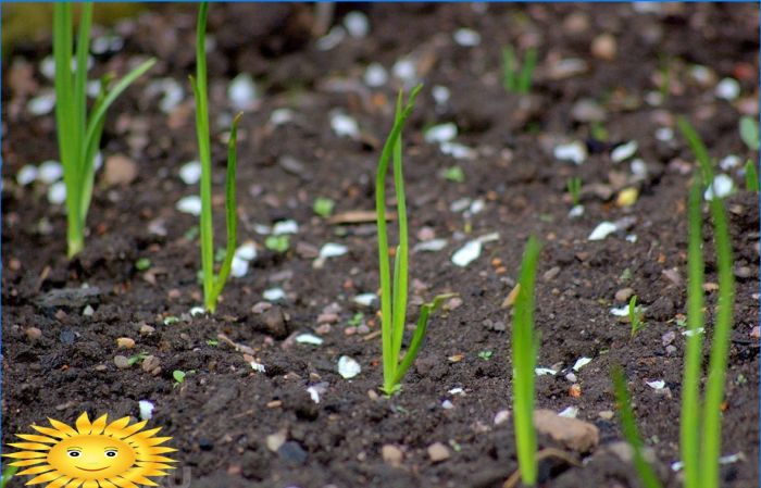 Gärtner- und Gärtnerkalender für April