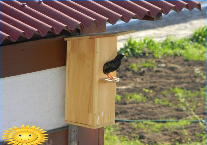 Gärtner- und Gärtnerkalender für April