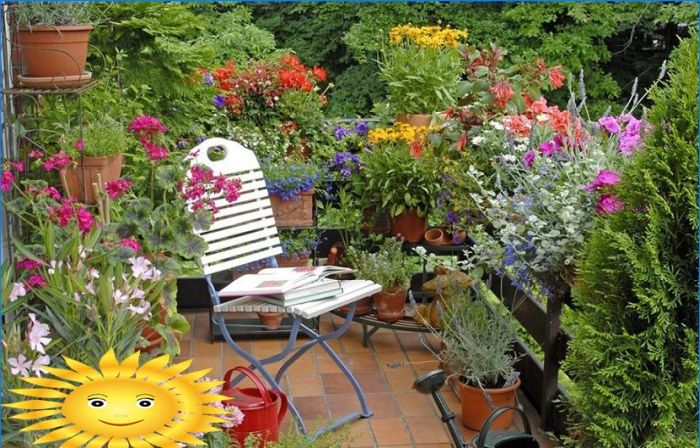 Wintergarten auf dem Balkon oder Gartenarbeit auf dem Balkon mit eigenen Händen