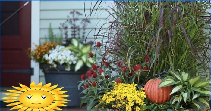 Zwei Möglichkeiten, um einen lebendigen Herbststrauß in einem Topf zu machen