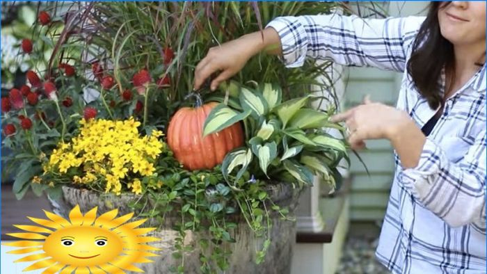 Zwei Möglichkeiten, um einen lebendigen Herbststrauß in einem Topf zu machen