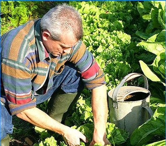 Biologische Landwirtschaft. Das Unkraut zähmen