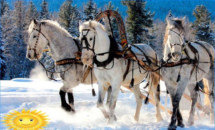 Fotosammlung: Russischer Winter im Dorf