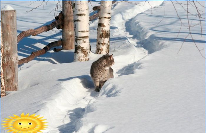 Fotosammlung: Russischer Winter im Dorf