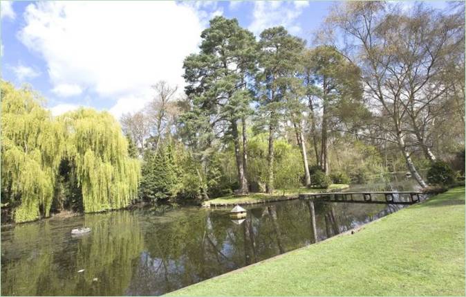 Eine Insel im See neben dem Haus