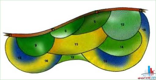 Schema eines rustikalen Blumengartens