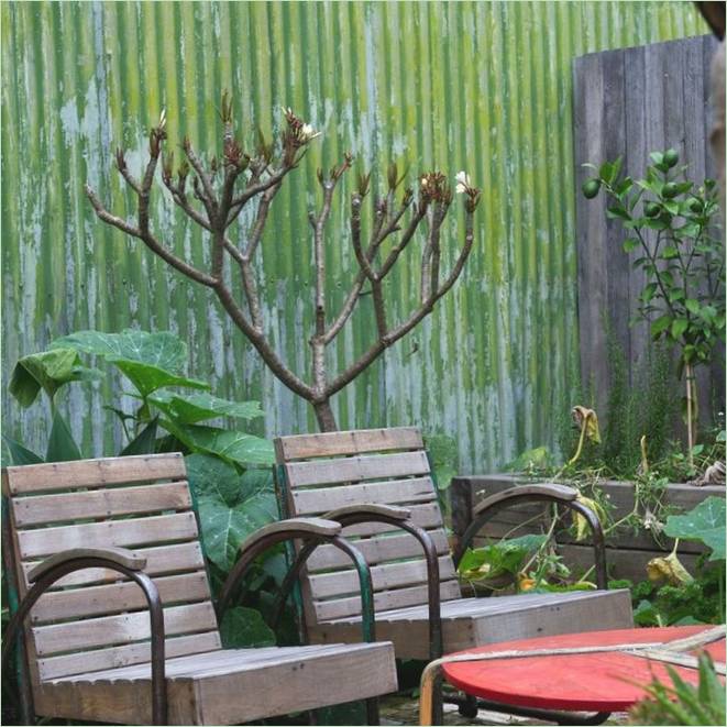 Terrassenbestuhlung des Marrickville House in Sydney