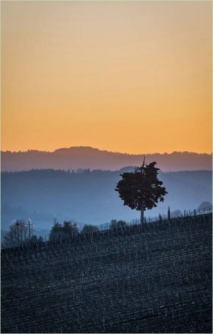 Wunderschöne Landschaft vor dem Haus