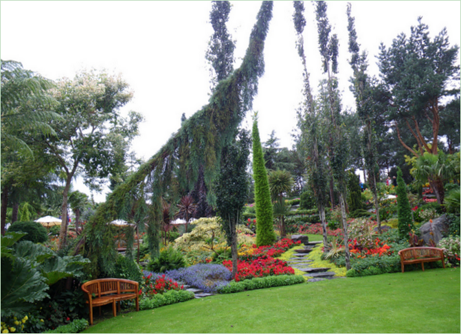 Tropischer Garten in Norwegen