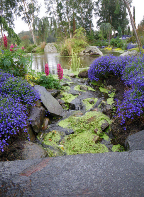 Ein tropischer Garten in Norwegen