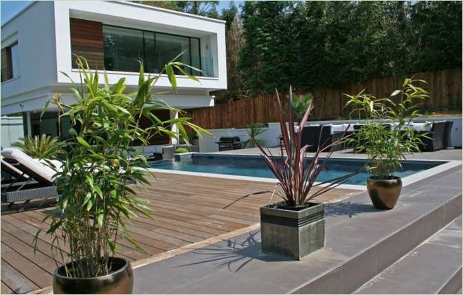 Pflanzen auf der Terrasse eines Hauses in Oxted, England