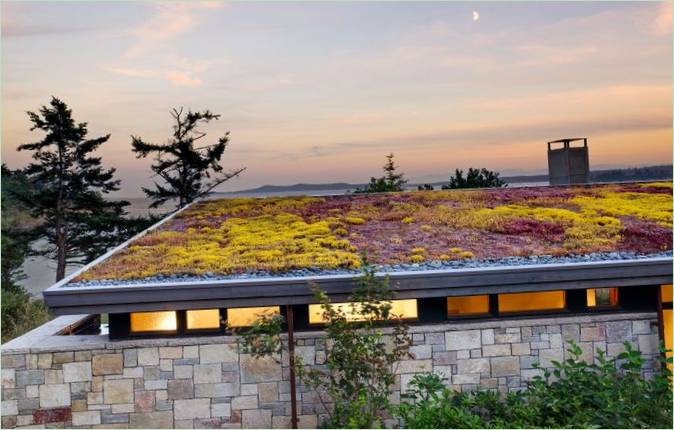 Regenwassernutzung im Gartenhaus: Ein Gründach