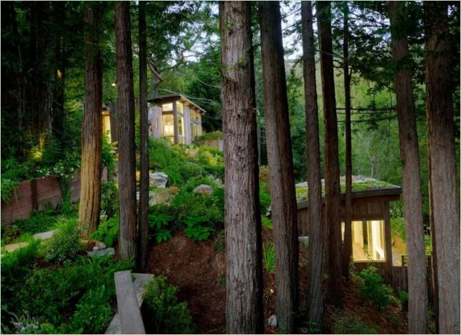 Gemütliche Hütten zwischen den Bäumen von Mill Valley Cabins in Kalifornien, USA