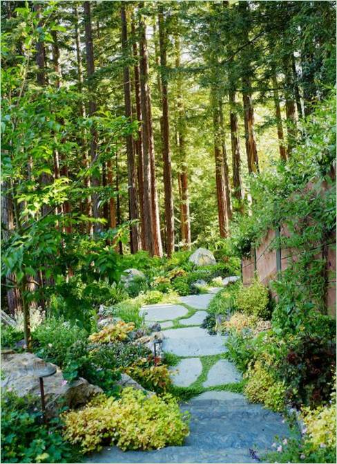 Gemütliche Hütten zwischen den Bäumen in Mill Valley Cabins in Kalifornien, USA