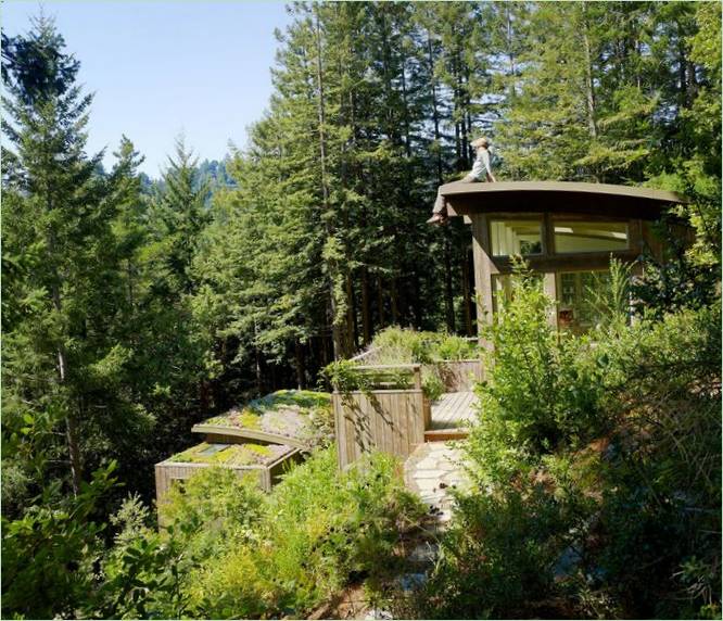 Gemütliche Hütten zwischen den Bäumen in Mill Valley Cabins in Kalifornien, USA