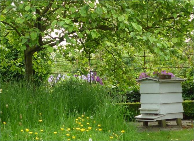 Ungewöhnliche Gartenideen. Bienenstock