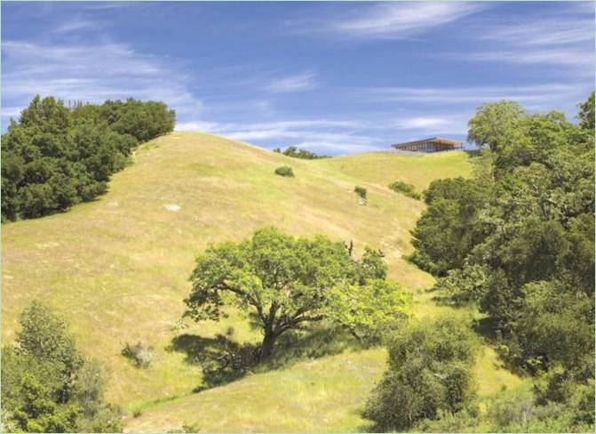 Landschaftsgestaltung in Kalifornien