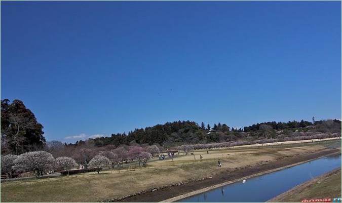 Park Kairaku-en Gärten in Mito