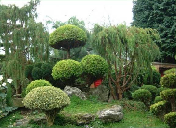 Japanischer Garten Landschaftsgestaltung