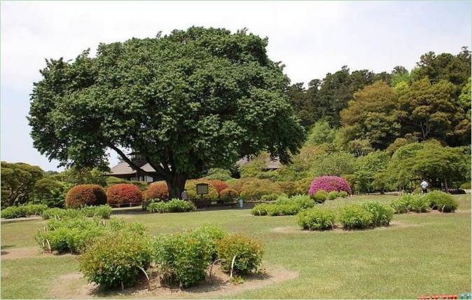 Kairaku-en-Gärten in Mito