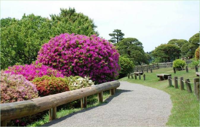 Kairaku-en-Gärten in Mito