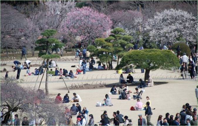 Kairaku-en-Gärten in Mito