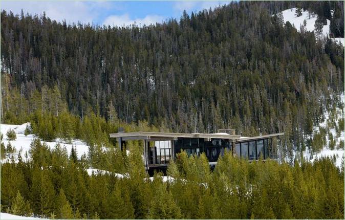 Das Winterquartier des Fuchsschwanzes in den Rocky Mountains, Montana