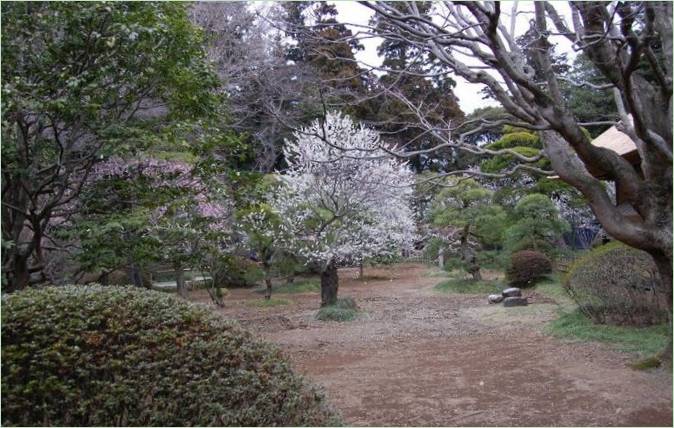 Kairaku-en-Gärten in Mito