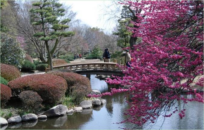 Kairaku-en-Gärten in Mito