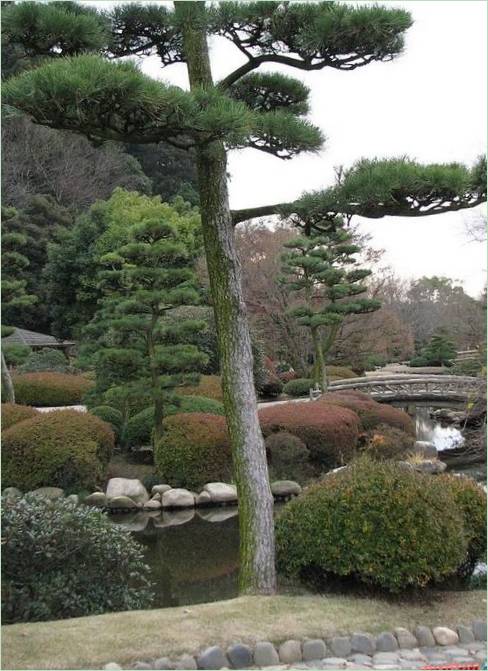 Kairaku-en-Gärten in Mito