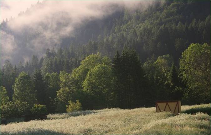 Alpenblick und eine ungewöhnliche Lösung für einen Bienenstock