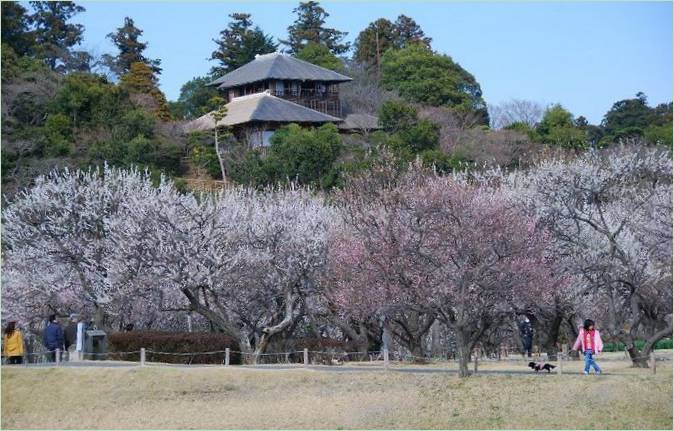 Kairaku-en-Gärten in Mito