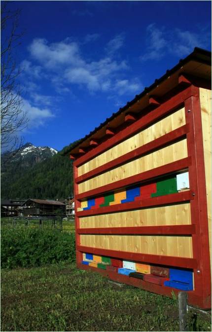 Foto eines auffälligen Bienenstocks im Tal