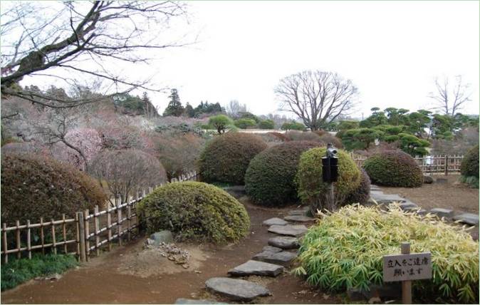 Kairaku-en-Gärten in Mito