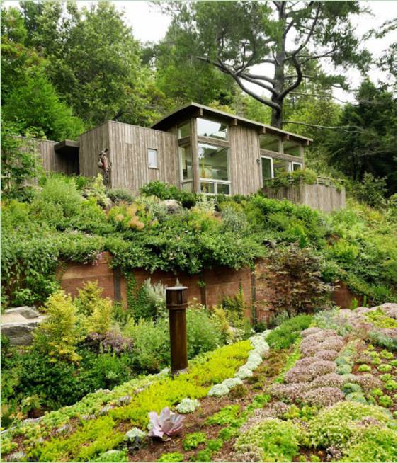 Das hölzerne Äußere des Hauses, umgeben von einer malerischen Waldlandschaft