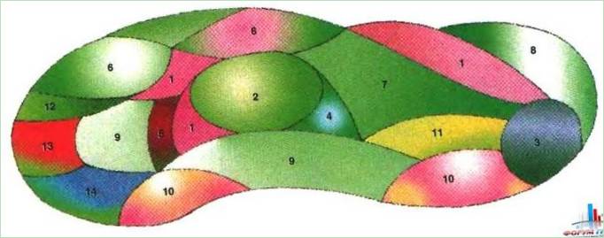 Schema für ein auffälliges Blumenbeet