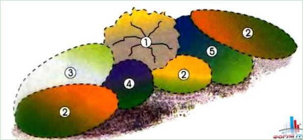 Schematische Darstellung eines Blumenbeets mit einem kleinen Baum