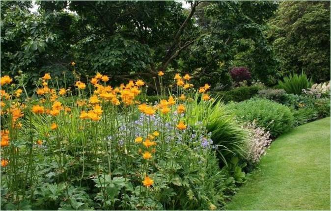 Der Landrock-Garten in Cornwall