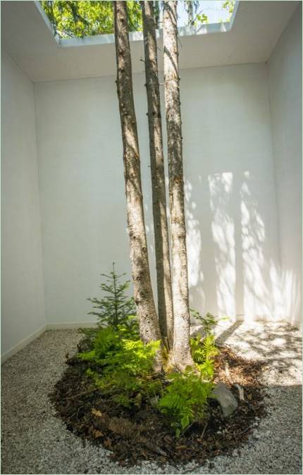 Die Höflichkeit der Natur - Ausstellung von Johan Selbing und Anouk Vogel