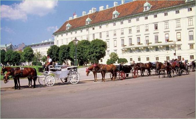 Pferde bringen die Menschen durch die Stadt