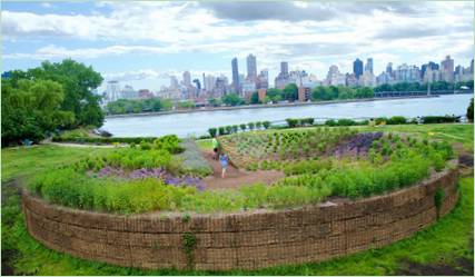 Landschaftsdekoration: eine Parkinstallation der Designerin Meg Webster