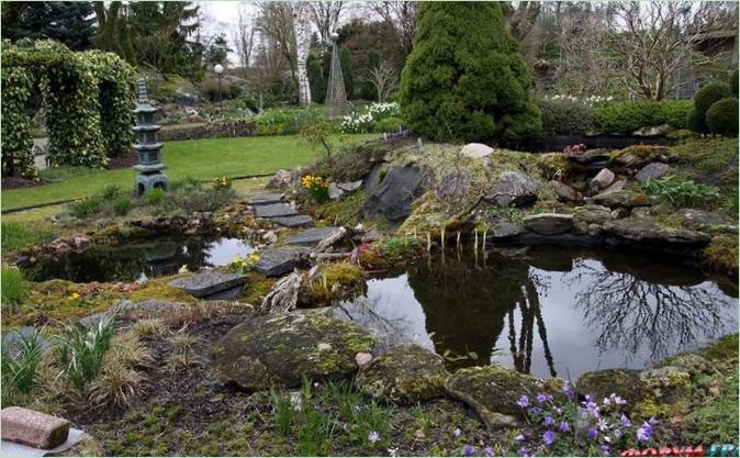 Botanischer Wassergarten von Ada Hoffman