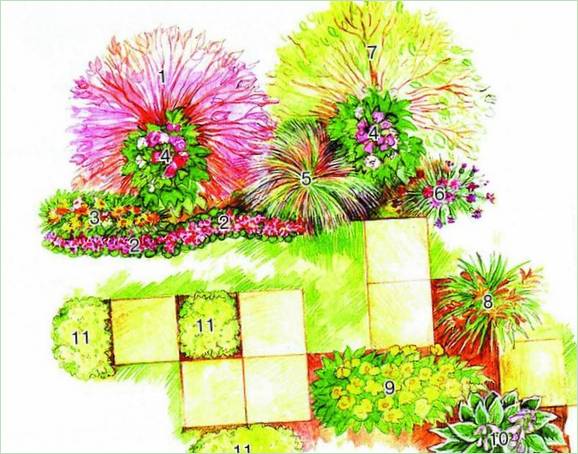 Plan für Blumenbeete