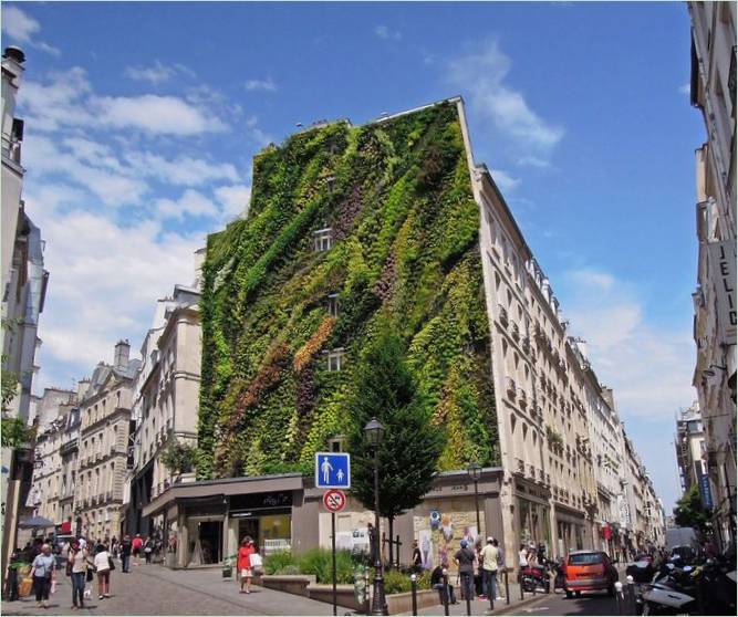 Der vertikale Garten Oasis Aboukir von Patrick Blanc