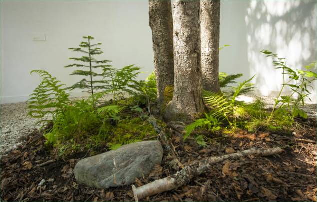 Die Höflichkeit der Natur - Ausstellung von Johan Selbing und Anouk Vogel