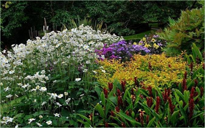 Der Landrock-Garten in Cornwall