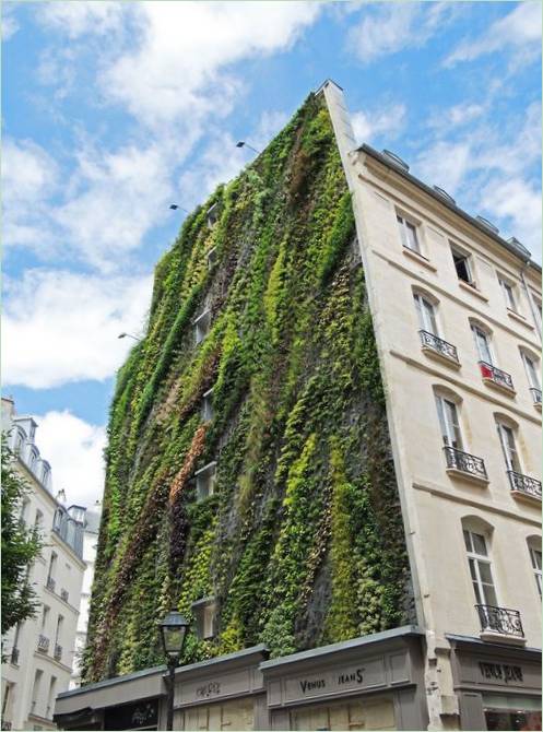 Vertikaler Garten Oasis Aboukir von Patrick Blanc