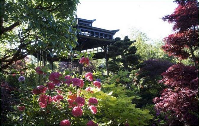 Der Garten der vier Jahreszeiten in Kyoto