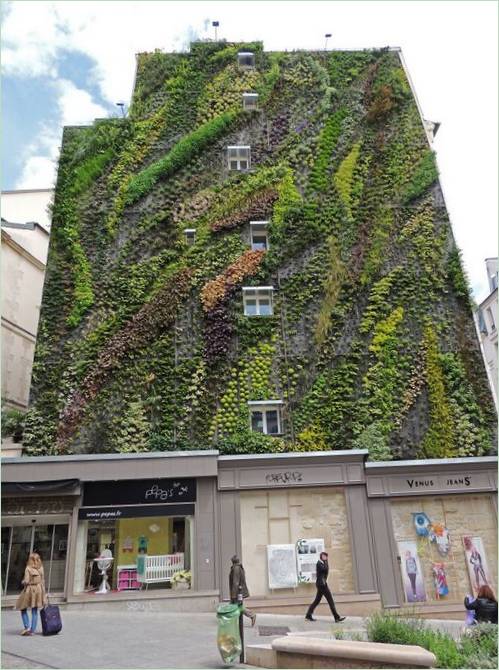 Der vertikale Garten Oasis Aboukir von Patrick Blanc